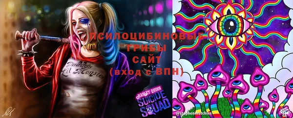 mdpv Алексин
