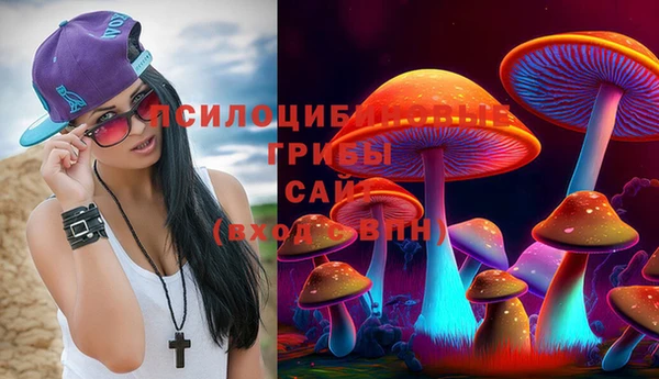 mdpv Алексин