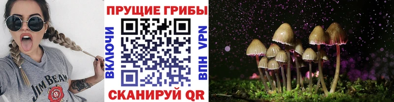 Псилоцибиновые грибы Magic Shrooms как найти Ставрополь